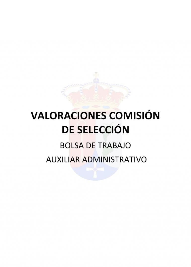 VALORACIONES BOLSA DE TRABAJO AUXILIAR ADMINISTRATIVO