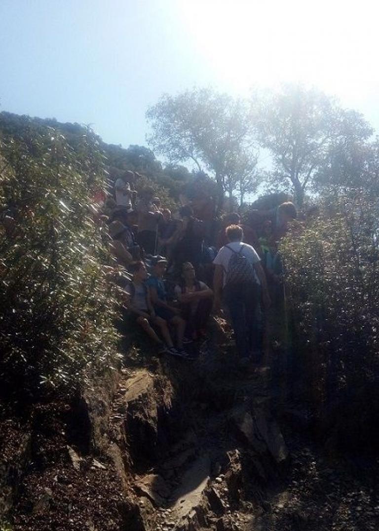 PASEOS NATURALES POR LA PROVINCIA DE TOLEDO