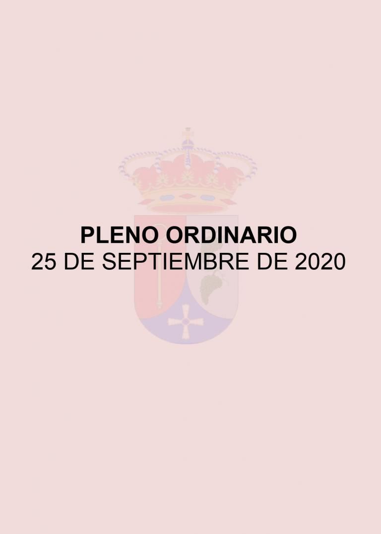 CONVOCATORIA PLENO ORDINARIO