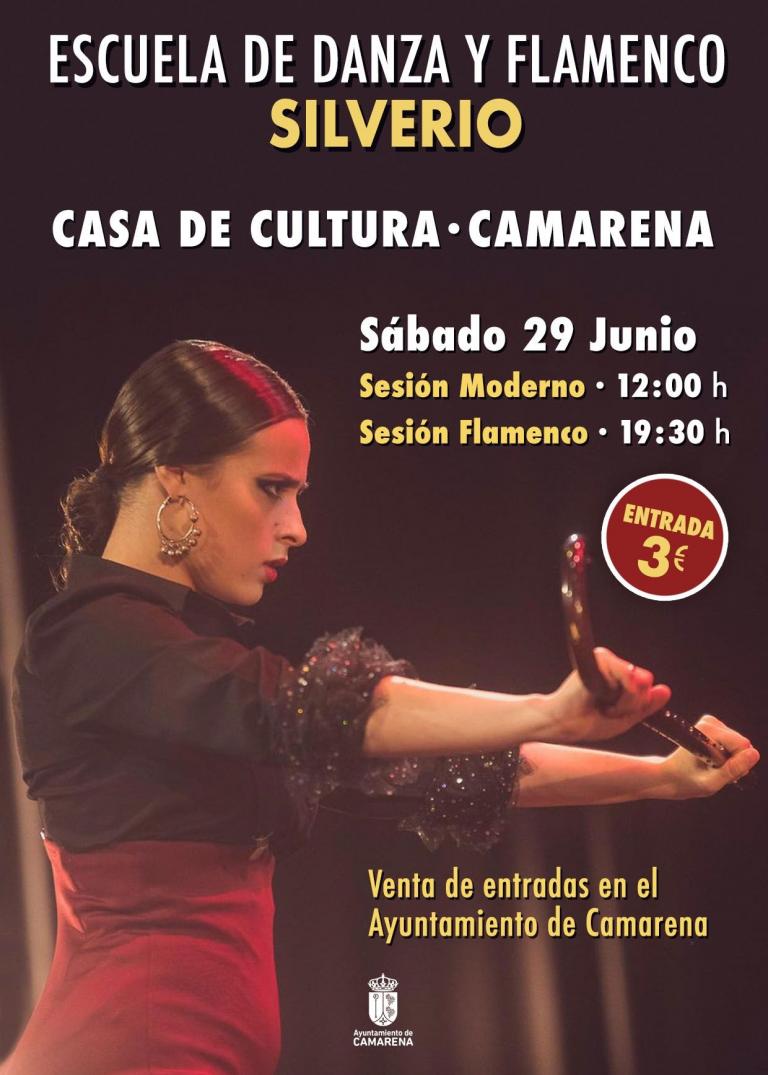 ESCUELA DE DANZA Y FLAMENCO SILVERIO