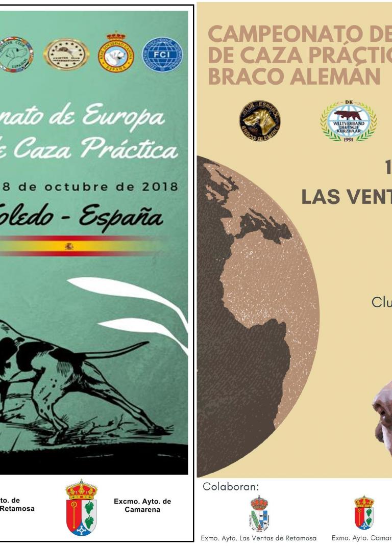CAMPEONATOS DE BRACO ALEMÁN Y POINTER