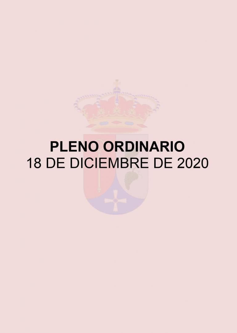 CONVOCATORIA PLENO ORDINARIO