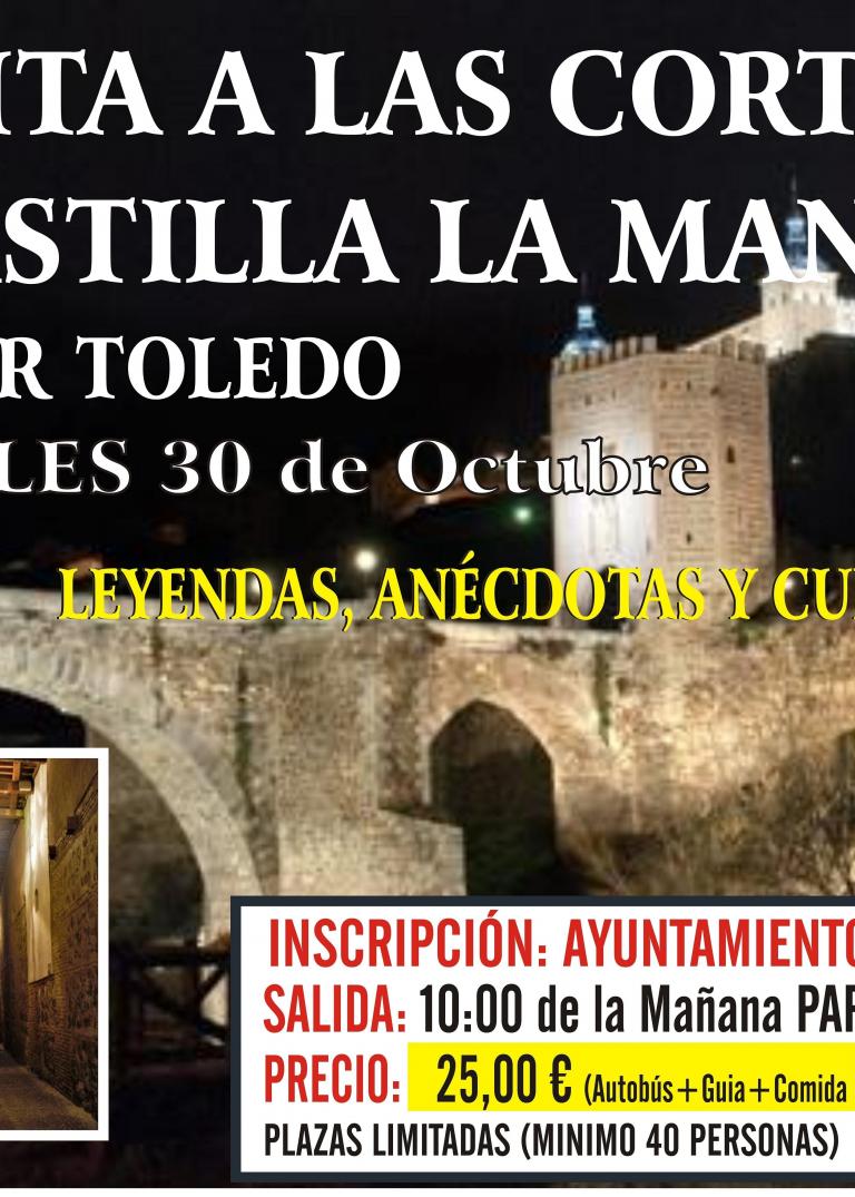 VISITA A LAS CORTES DE CASTILLA LA MANCHA Y RUTA POR TOLEDO