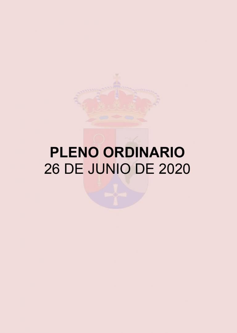PLENO ORDINARIO