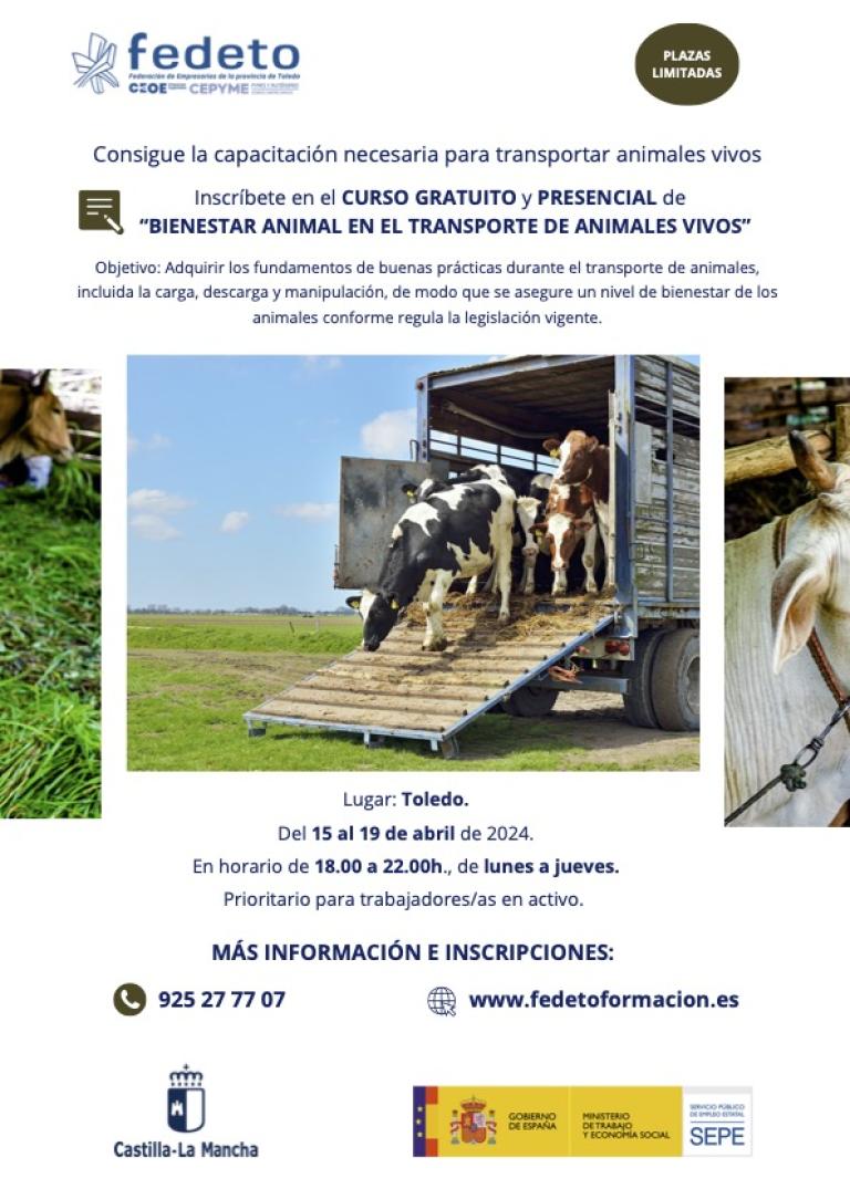 CURSO