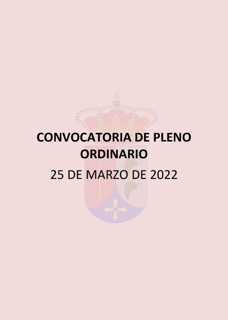 convocatoria pleno