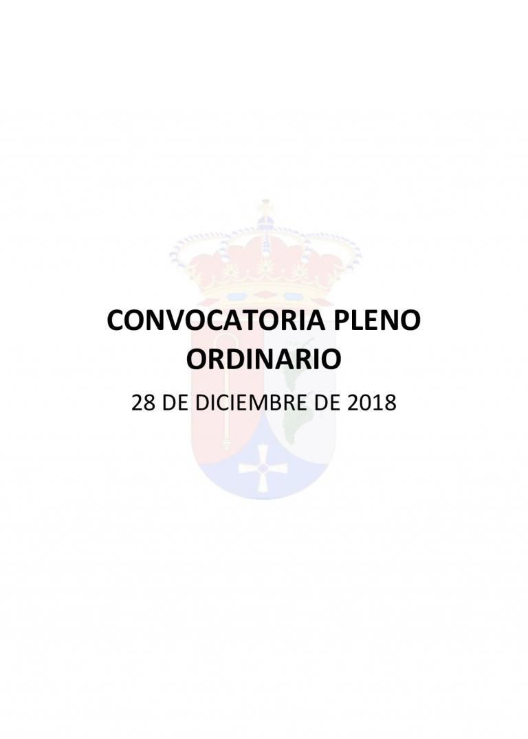 CONVOCATORIA PLENO ORDINARIO