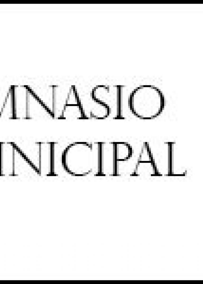 GIMNASIO MUNICIPAL