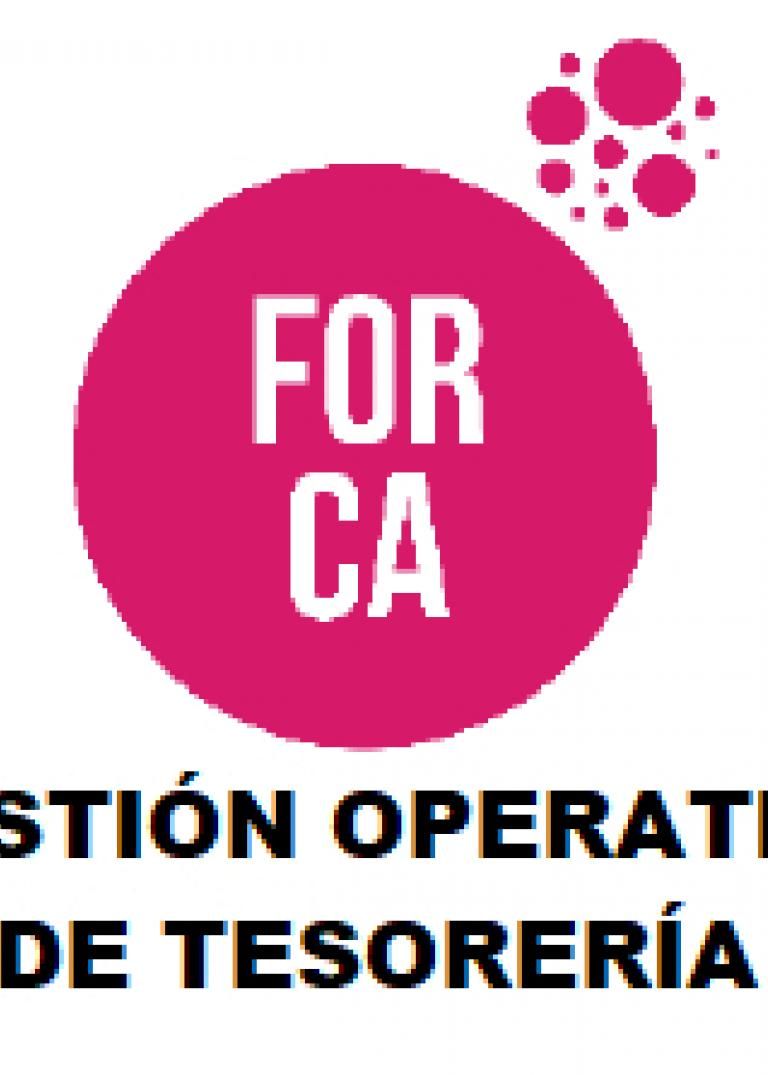 CURSO DE GESTIÓN OPERATIVA DE TESORERÍA