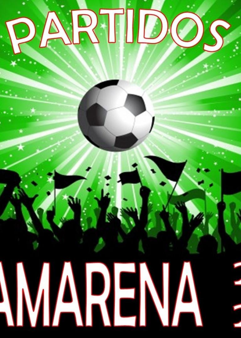 PARTIDOS DE FÚTBOL CD CAMARENA