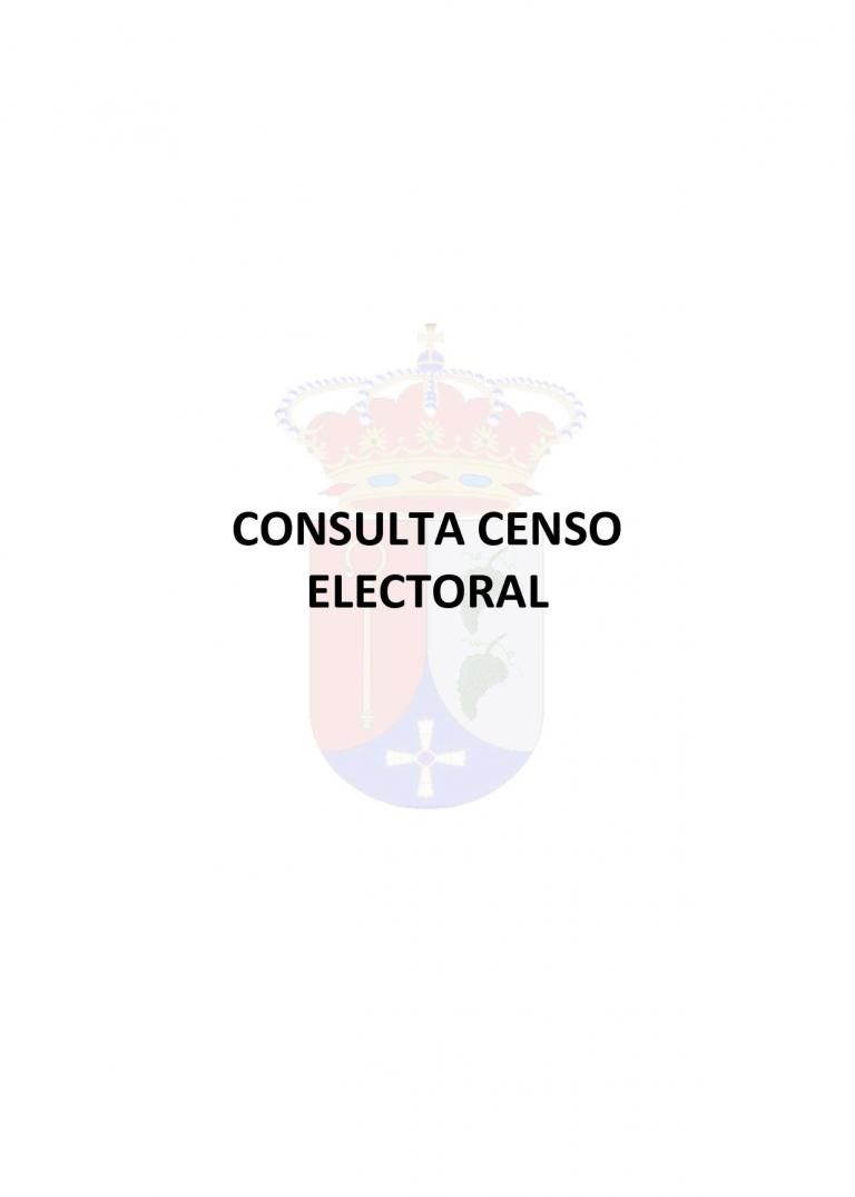 CONSULTA CENSO ELECTORAL