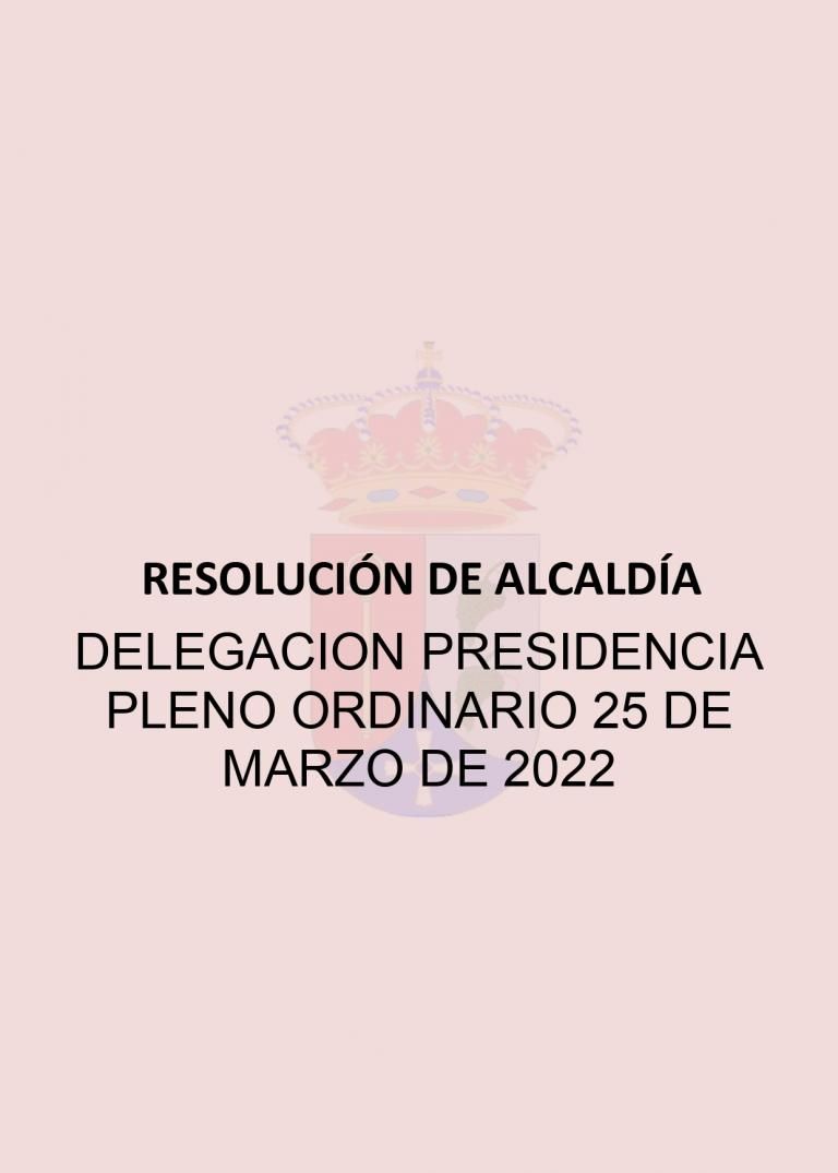 presidencia pleno