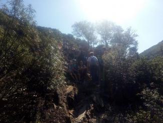 PASEOS NATURALES POR LA PROVINCIA DE TOLEDO