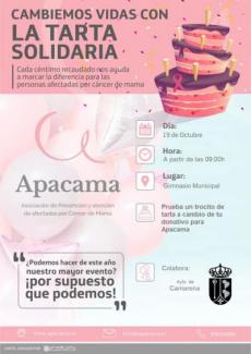 Cartel tarta solidaria