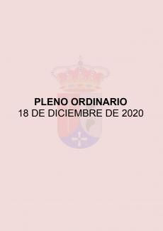 CONVOCATORIA PLENO ORDINARIO