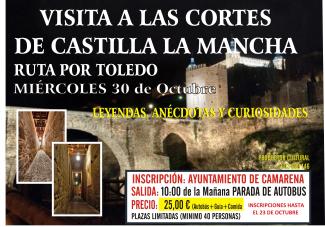 VISITA A LAS CORTES DE CASTILLA LA MANCHA Y RUTA POR TOLEDO