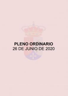PLENO ORDINARIO
