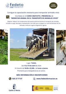 CURSO