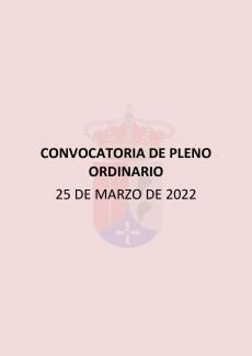 convocatoria pleno