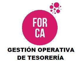 CURSO DE GESTIÓN OPERATIVA DE TESORERÍA