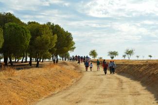 PASEOS NATURALES POR LA PROVINCIA DE TOLEDO