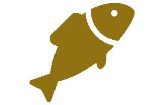 Pescadería Las Chicas
