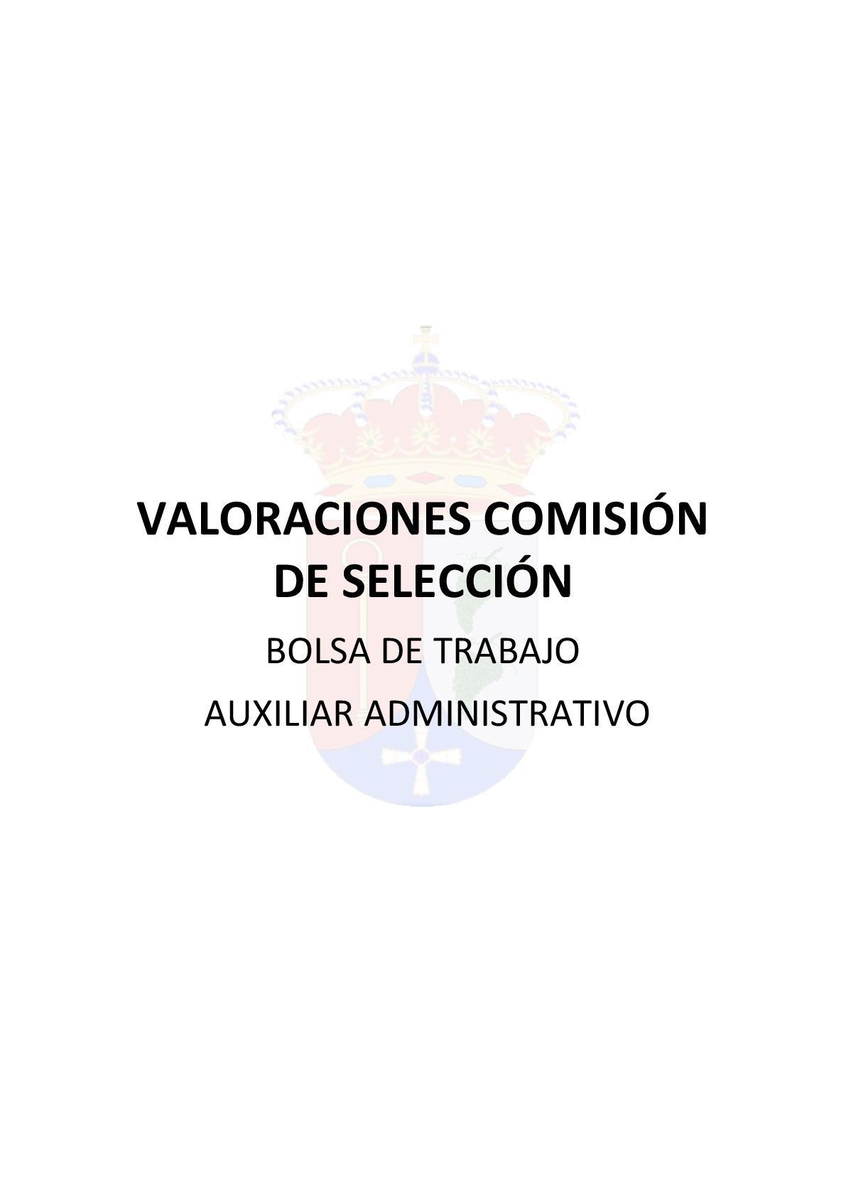 VALORACIONES BOLSA DE TRABAJO AUXILIAR ADMINISTRATIVO