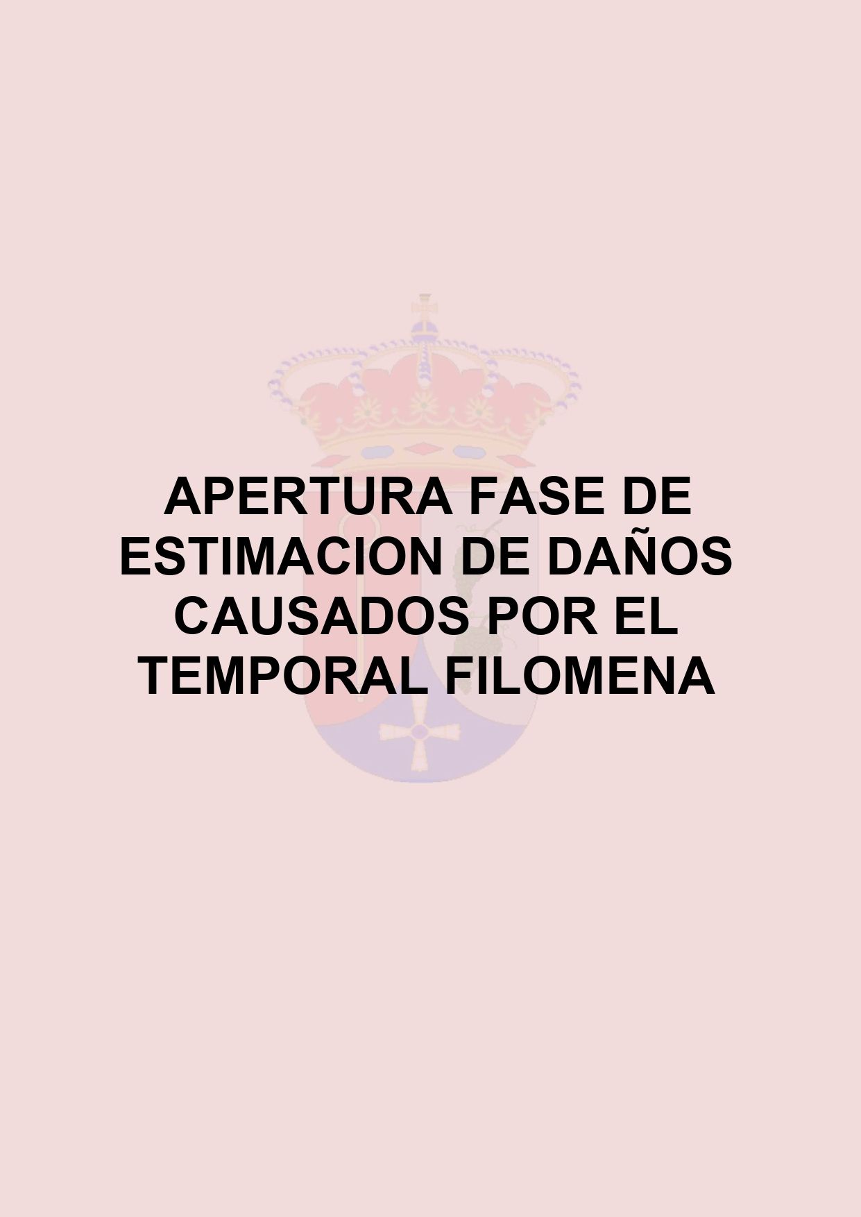 APERTURA FASE DE ESTIMACION DE DAÑOS CAUSADOS POR EL TEMPORAL FILOMENA