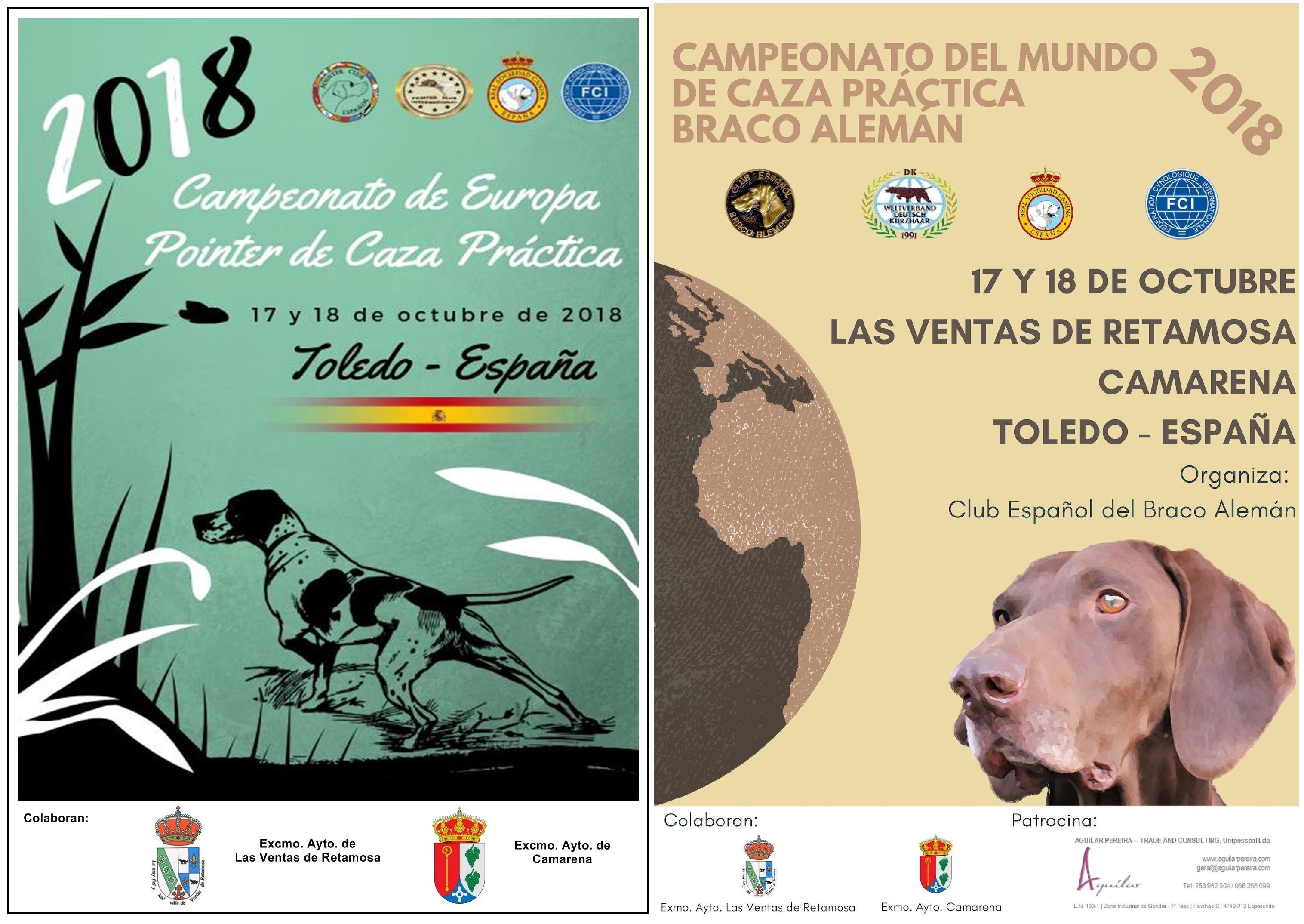 CAMPEONATOS DE BRACO ALEMÁN Y POINTER