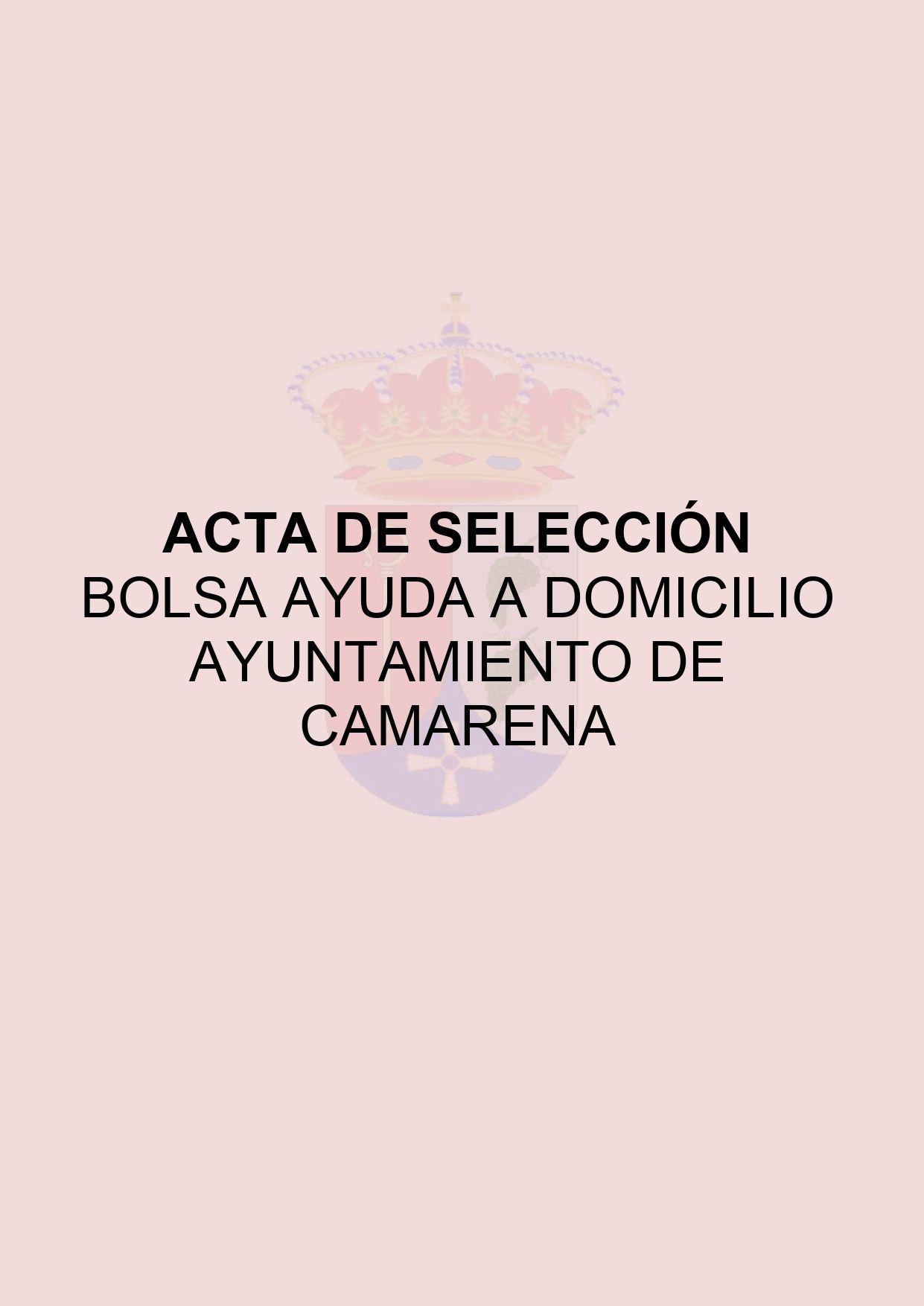 ACTA DE SELECCIÓN BOLSA DE AYUDA A DOMICILIO AYUNTAMIENTO DE CAMARENA