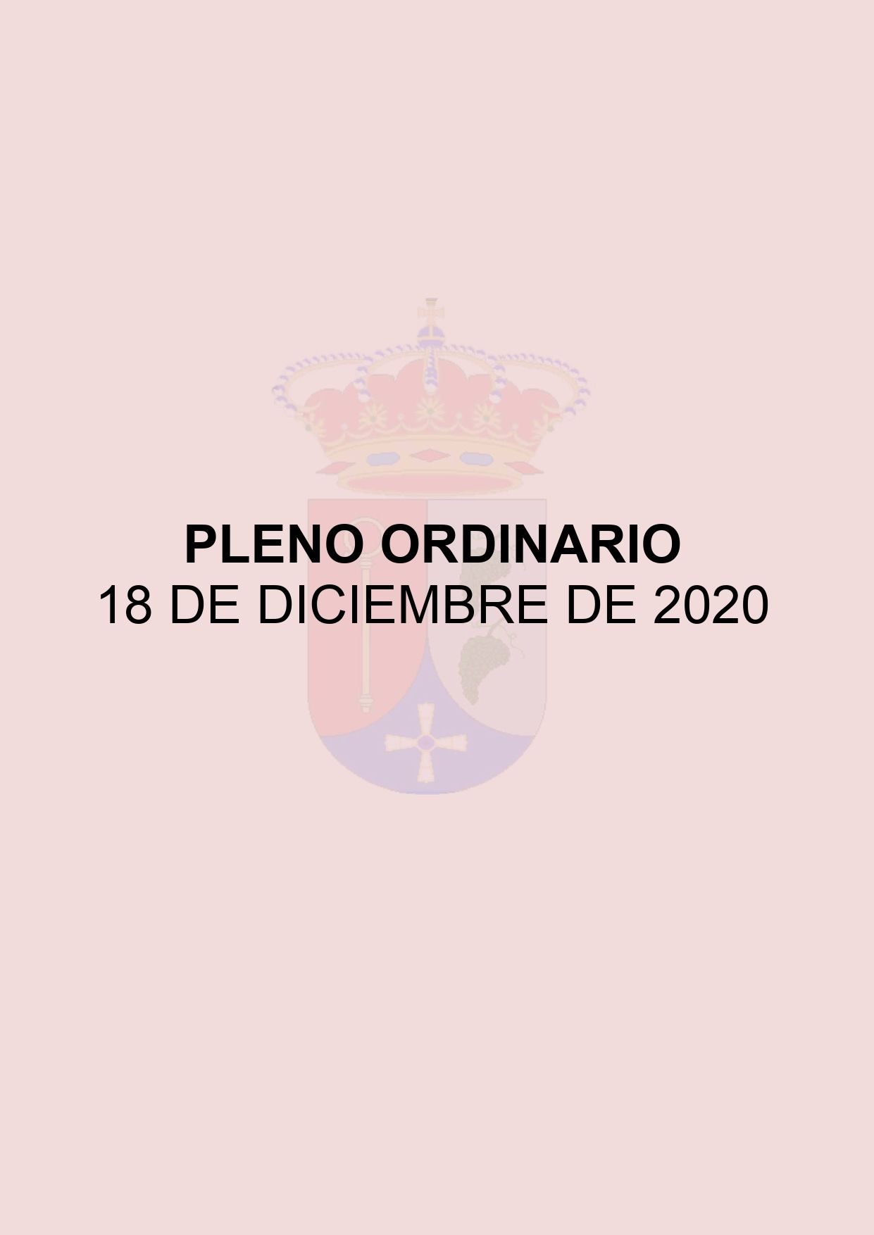 CONVOCATORIA PLENO ORDINARIO