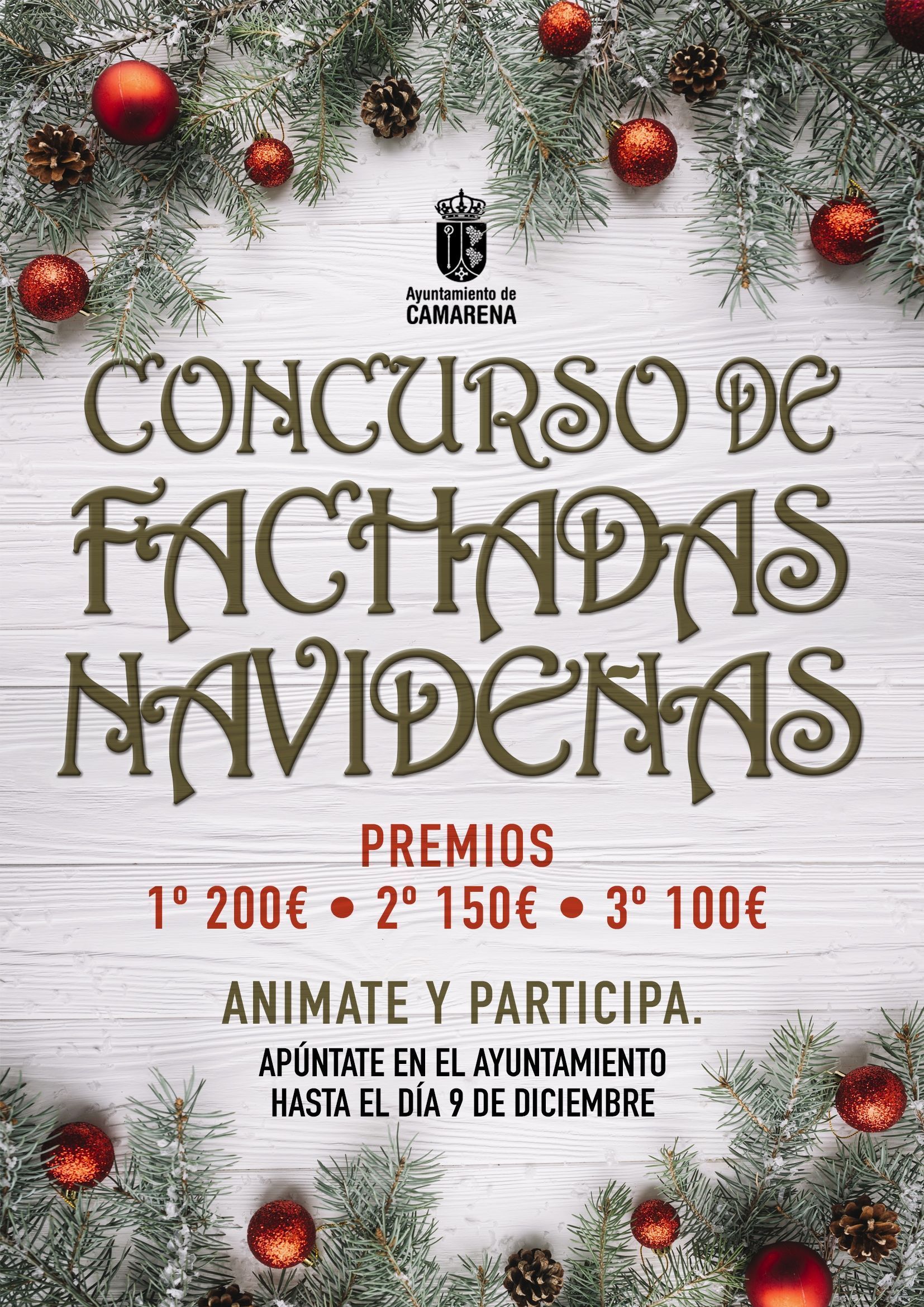CONCURSO DE FACHADAS NAVIDEÑAS