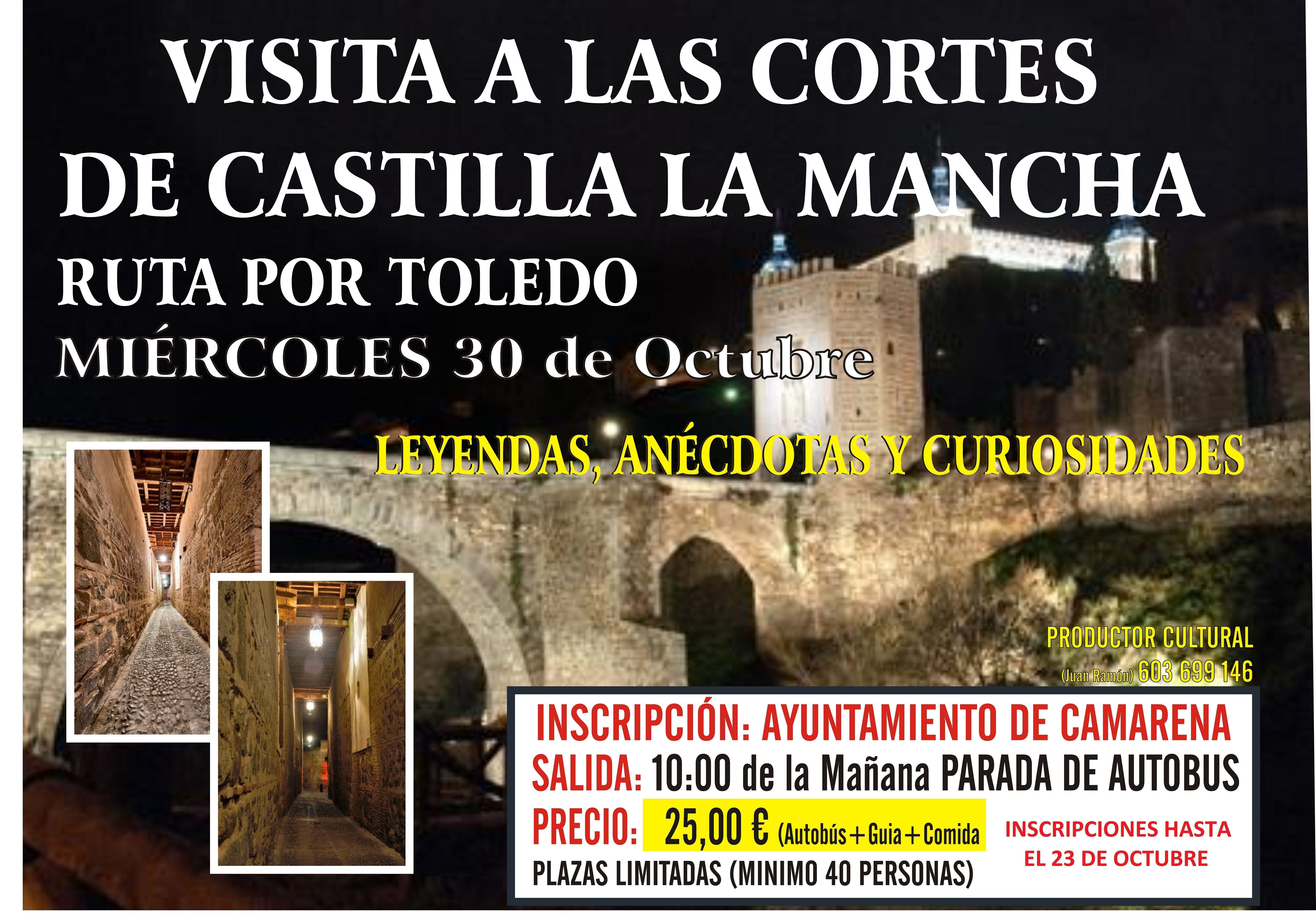 VISITA A LAS CORTES DE CASTILLA LA MANCHA Y RUTA POR TOLEDO