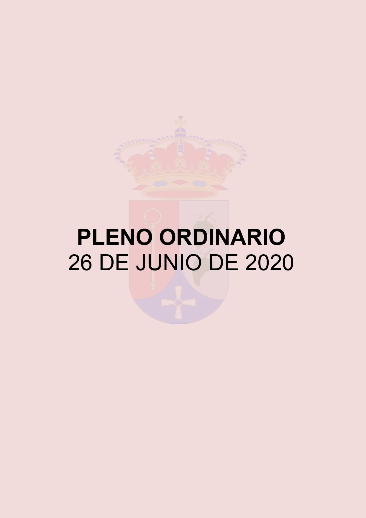 PLENO ORDINARIO
