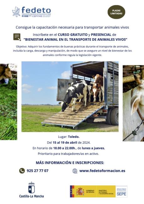 CURSO