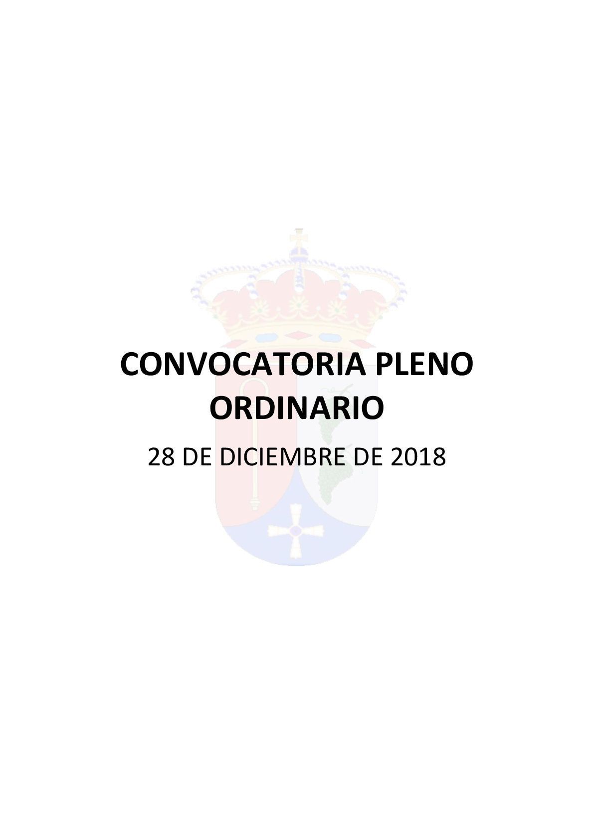 CONVOCATORIA PLENO ORDINARIO
