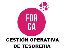 CURSO DE GESTIÓN OPERATIVA DE TESORERÍA