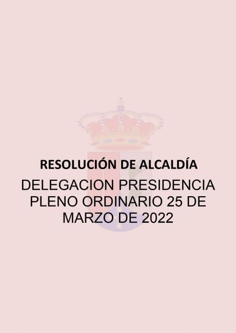 presidencia pleno