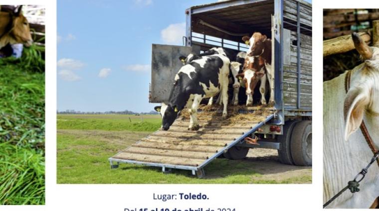 CURSO
